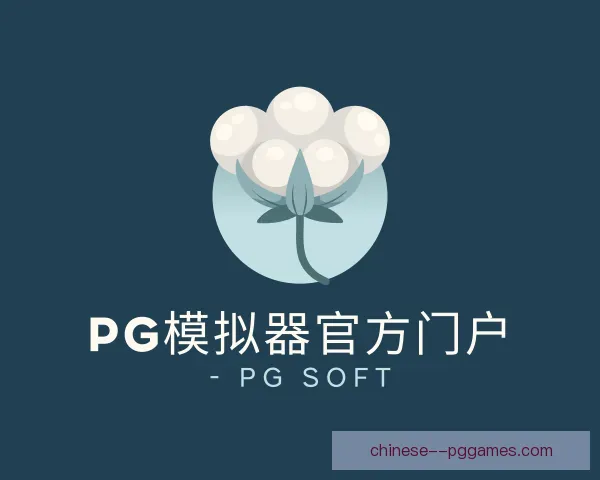 了解pg模拟器